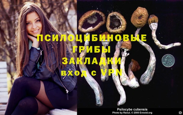 Альфа ПВП Новокубанск