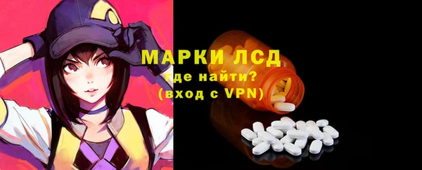 гашик Новодвинск