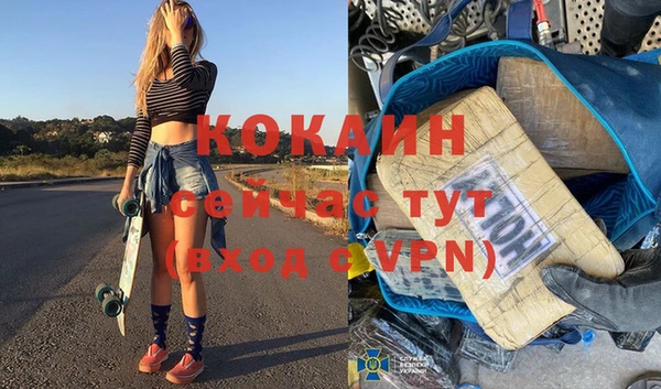 гашик Новодвинск
