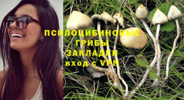 кристаллы Няндома