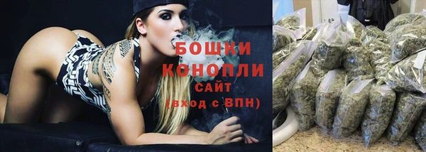ECSTASY Новозыбков