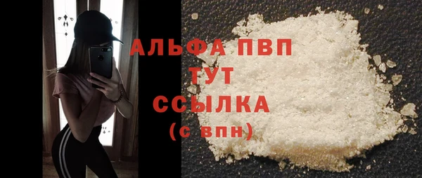гашик Новодвинск