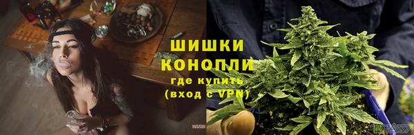 Альфа ПВП Новокубанск