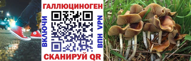 купить  цена  Константиновск  omg онион  Псилоцибиновые грибы Magic Shrooms 